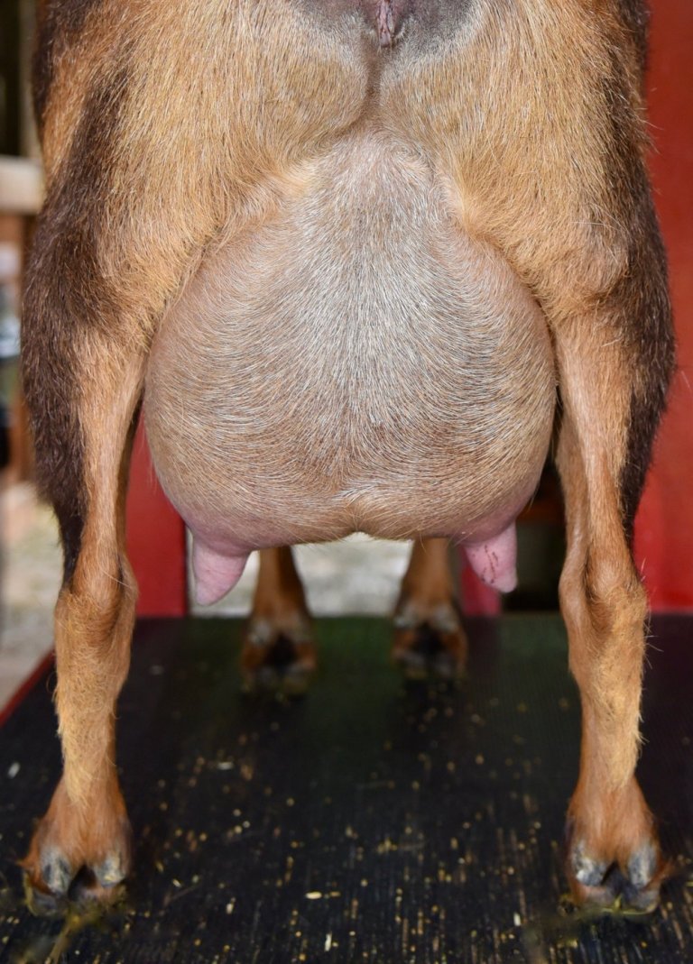 OMF Jane Doe (8 days fresh)